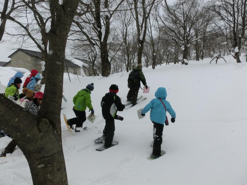 スノーシュー11