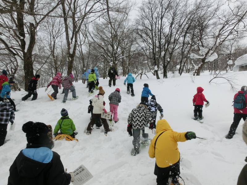 スノーシュー12