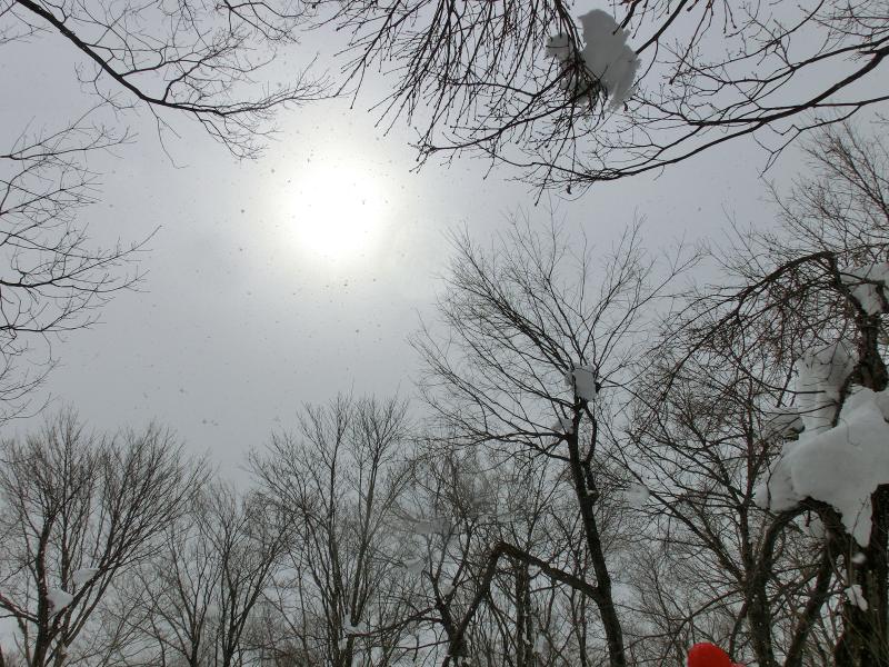 スノーシュー14