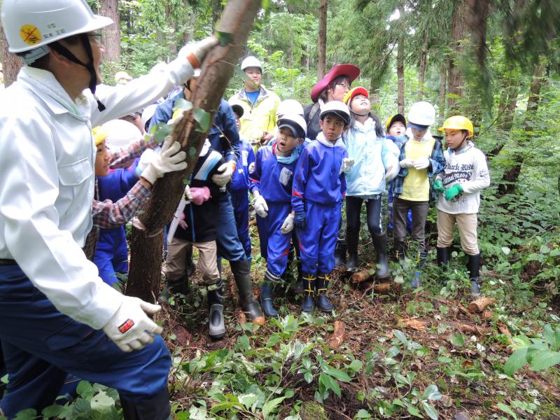 H26間伐・下刈体験11
