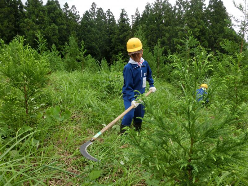 H26間伐・下刈体験15