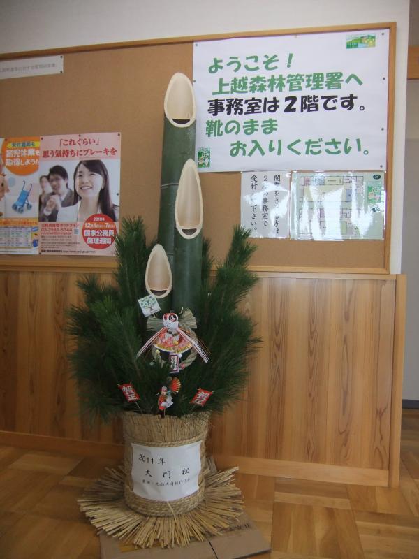 大角松3