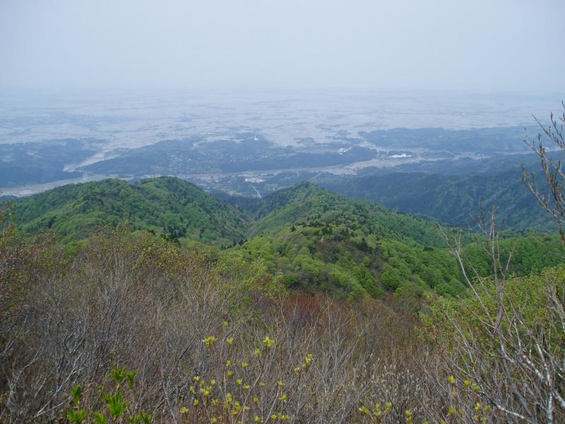 森づくり最前線下越