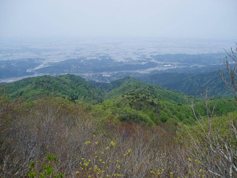 森づくり最前線下越