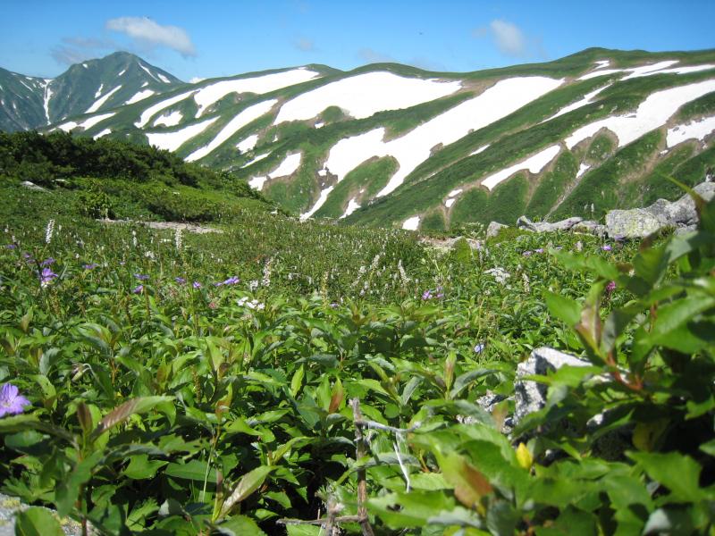 御秘所付近から望む