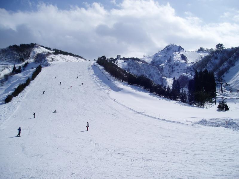 写真11