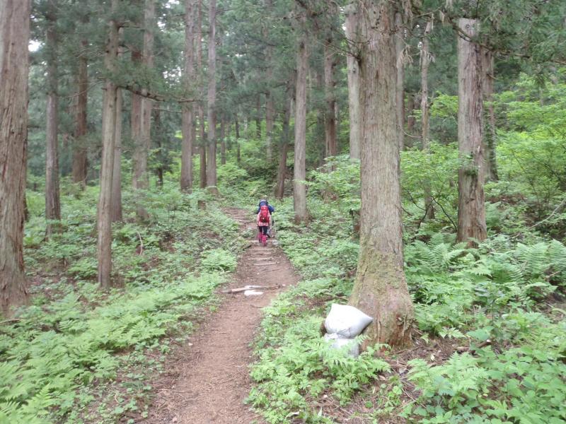 写真13
