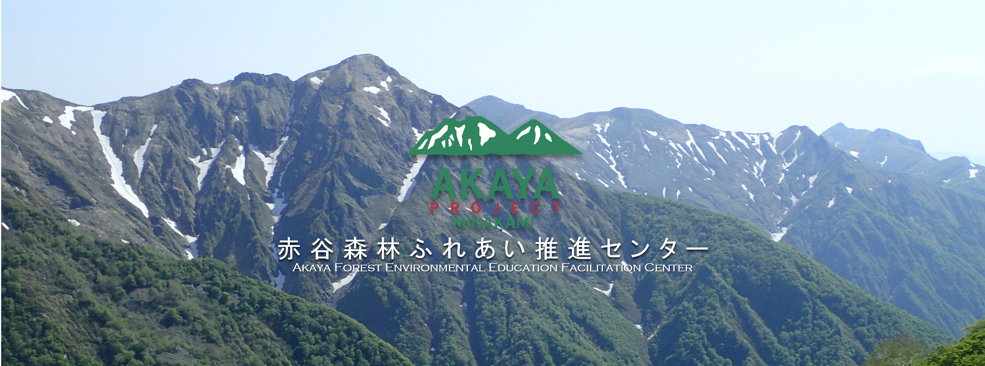 赤谷の森