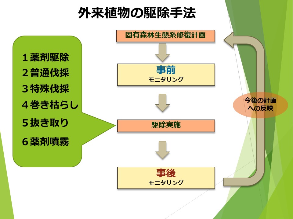 外来種駆除方法