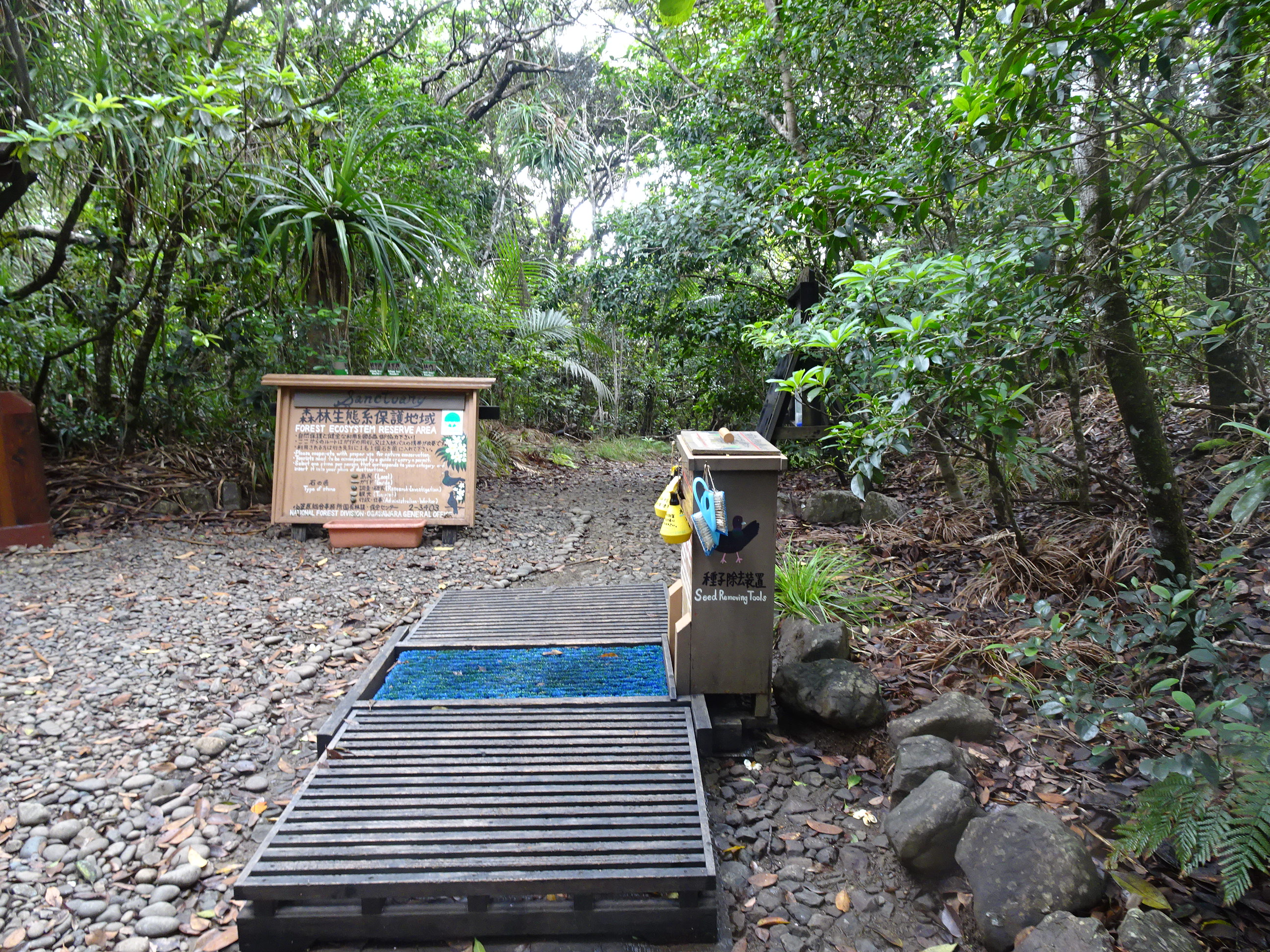 入口種子除去装置