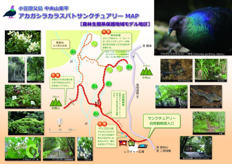 ぱんふれっと
