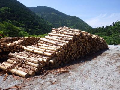 滑沢土場