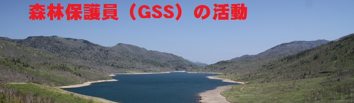 GSSの活動について