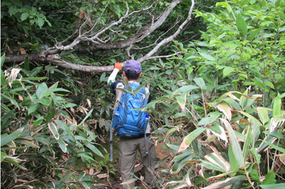 天神峠登山道の整備