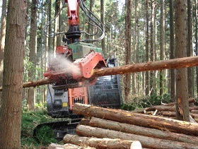高性能機械による木材生産