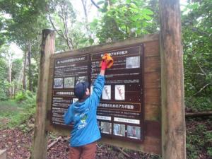 桑ノ木山ルート看板清掃