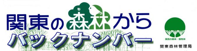 広報誌バックアップ