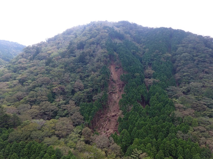 林地荒廃箇所（山腹崩壊）