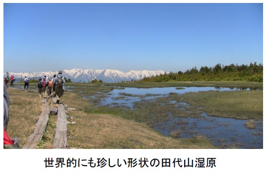 田代山湿原