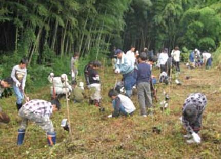 「ふれあい里山の森」体験