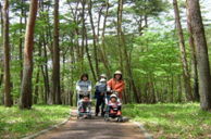 那須道路風景林