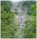 大谷山国有林