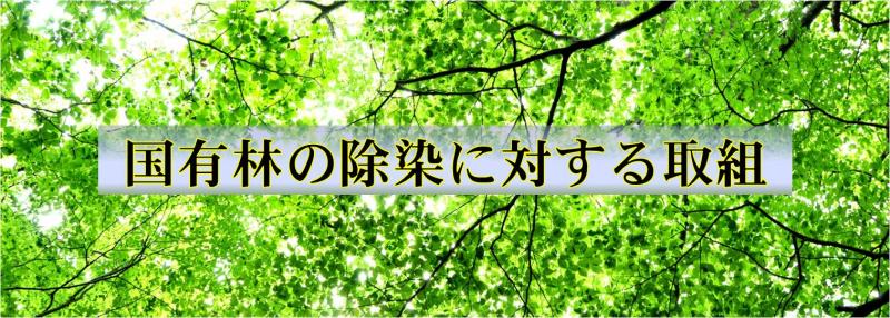カバー写真3