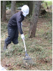【写真】落葉等除去作業