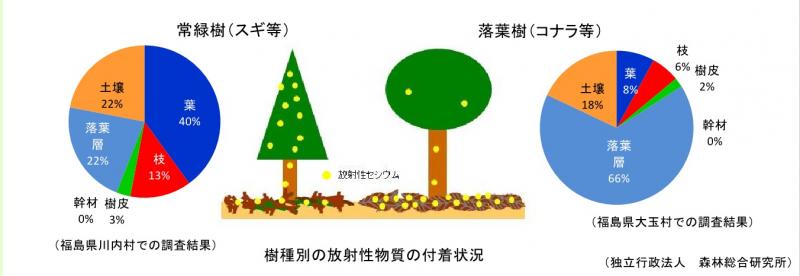 【図】放射性物質の付着状況