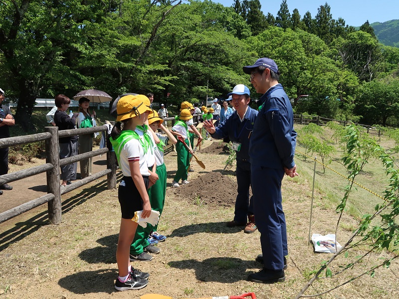 植樹の様子