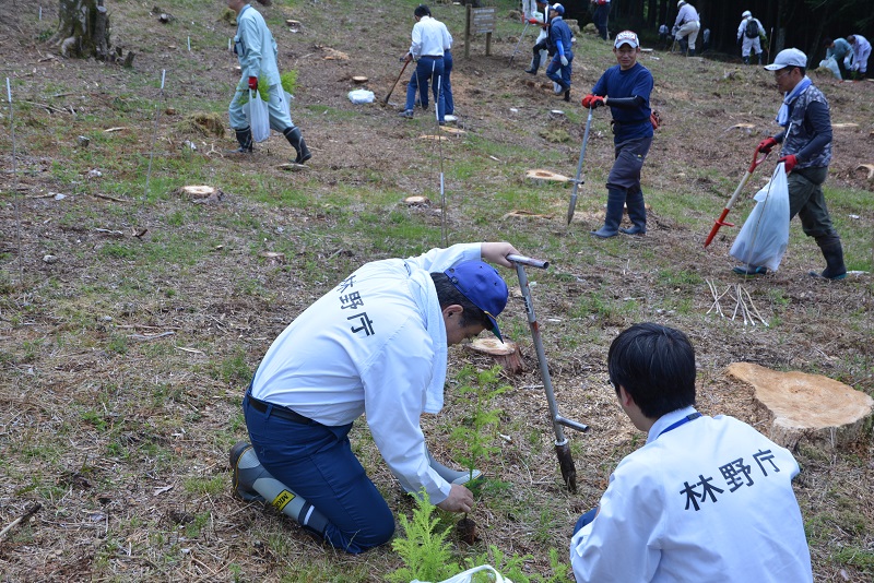 植樹の様子