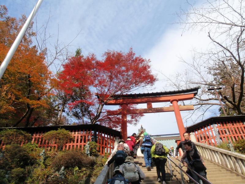紅葉2