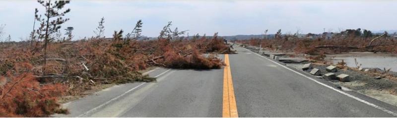 松川浦被災後