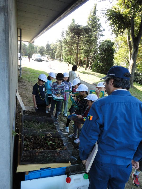 岩神小ブルーメライス
