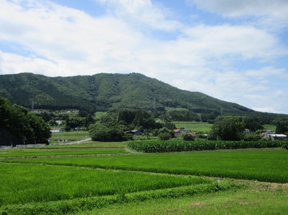 蓬田岳