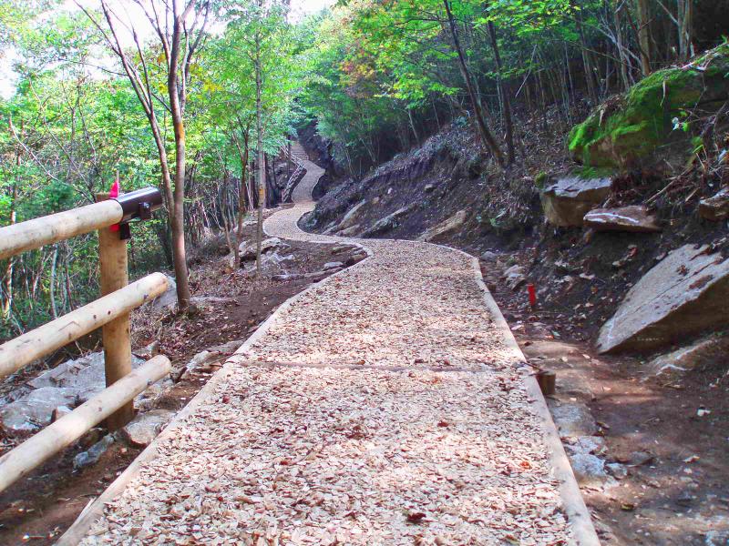 蓬田岳登山道の探検コース