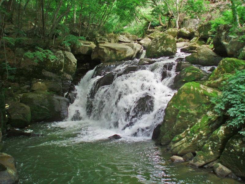 厳かな自然美「山鶏滝」