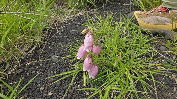 070710_3.jpg