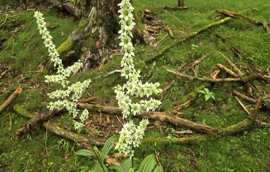 070712_3.jpg