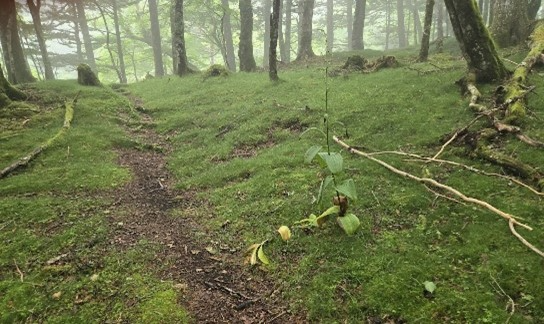 070712_9.jpg