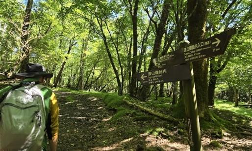 070720_2.jpg