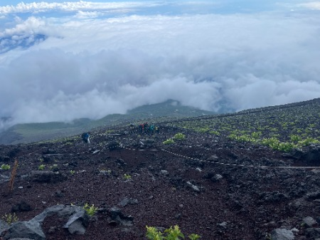 富士山国有林内にある登山道