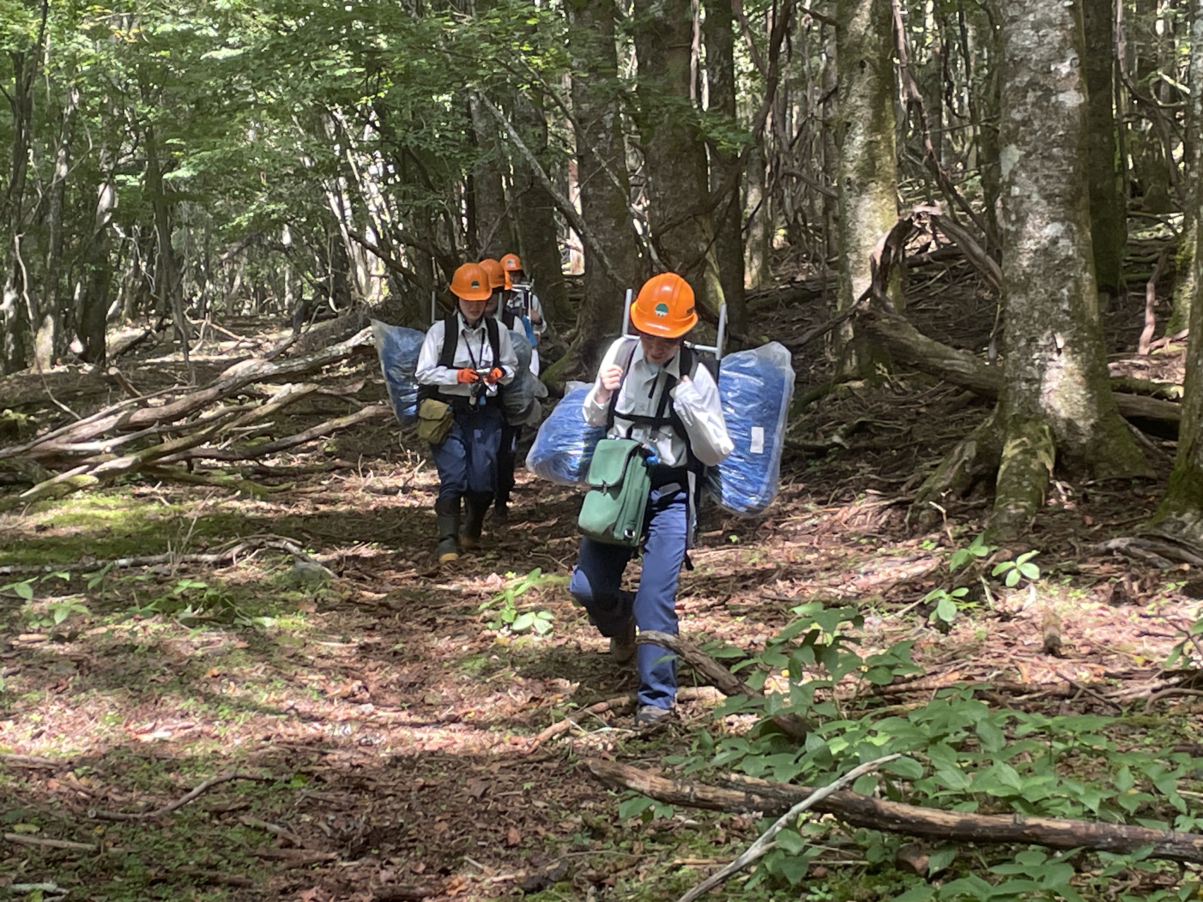 資材運搬の様子