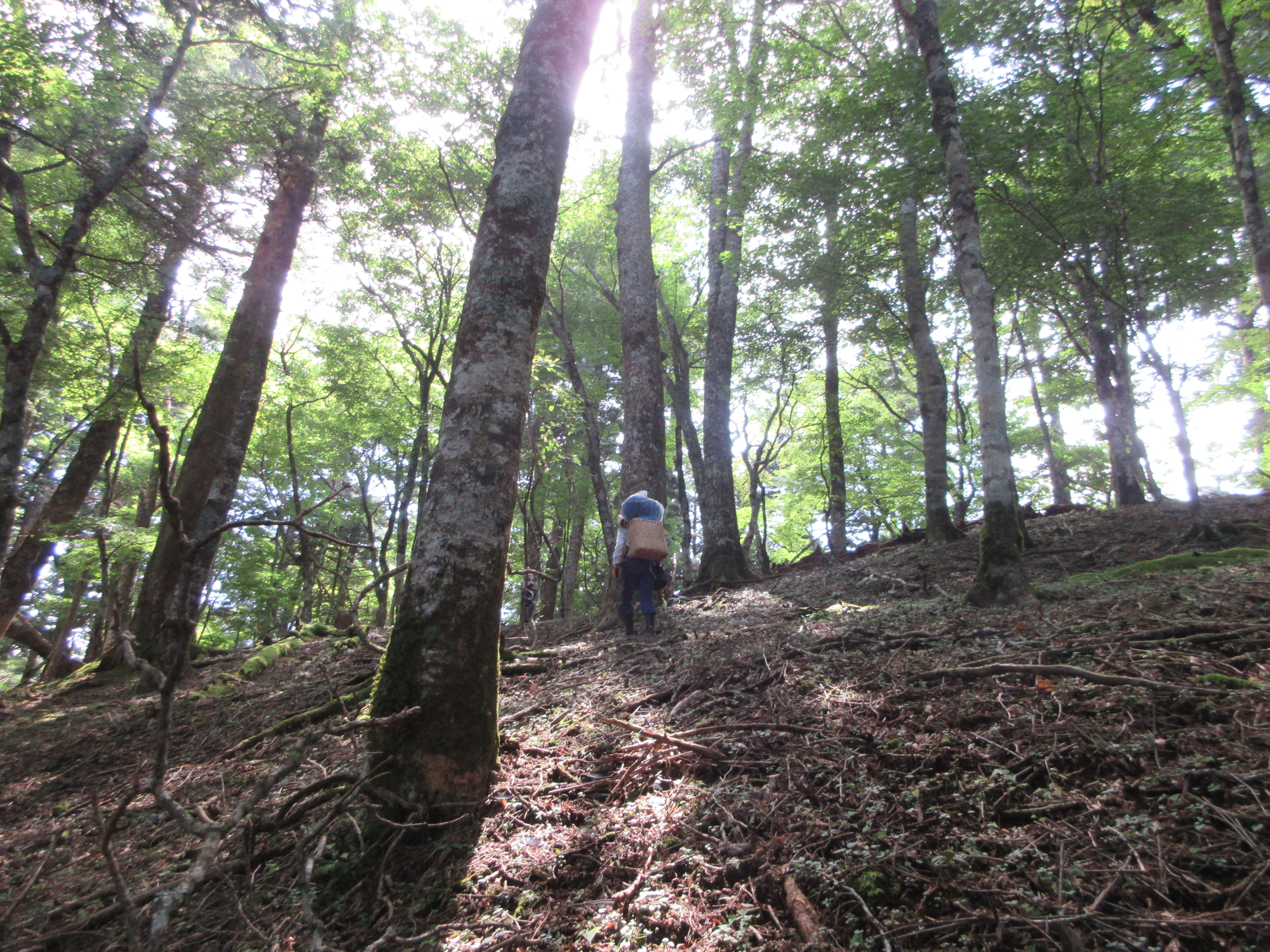 資材運搬の様子