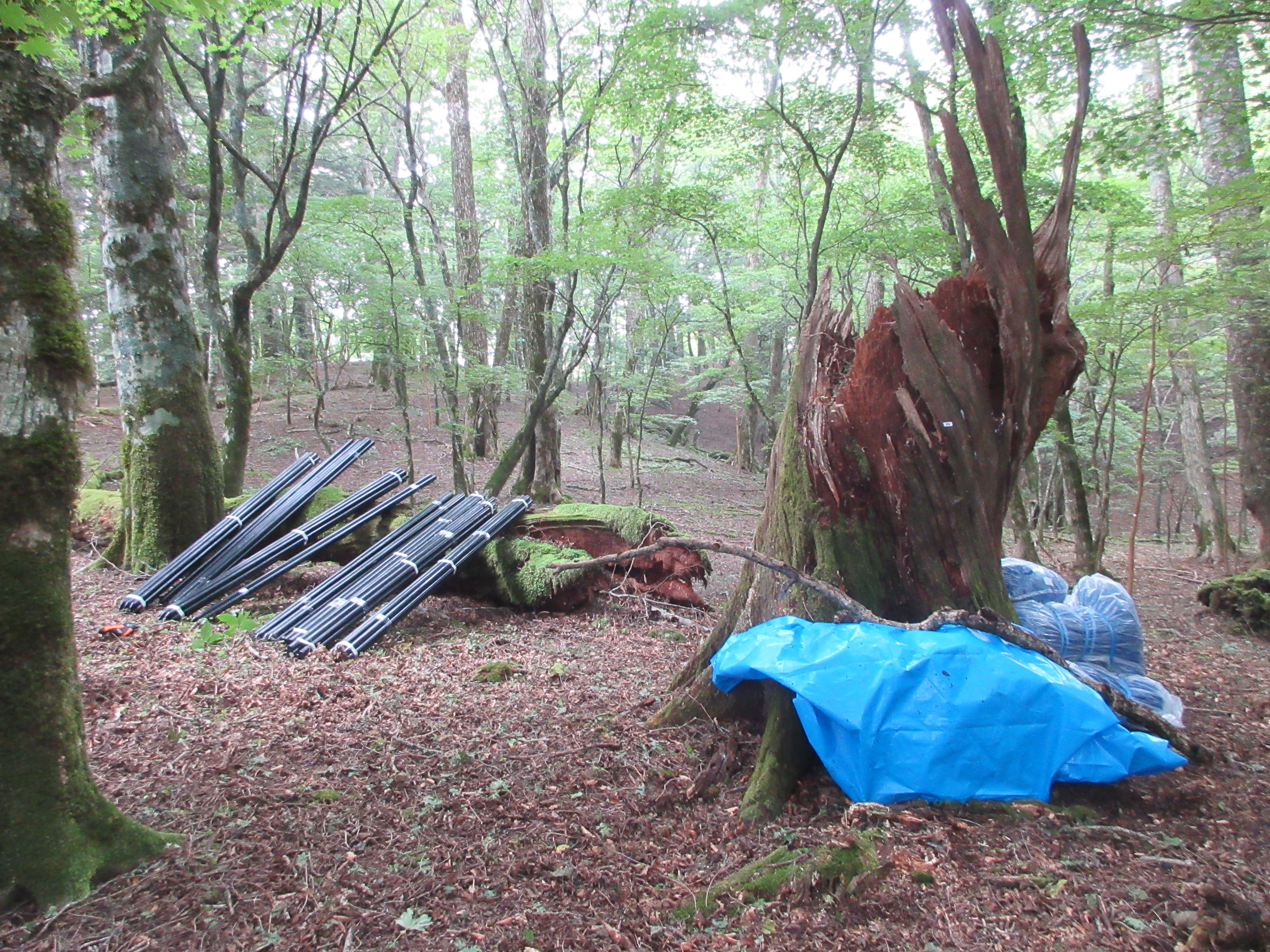 運搬した植生保護柵の資材