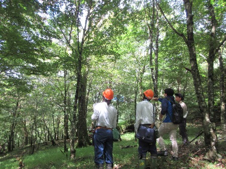 今後の活動について打合せ