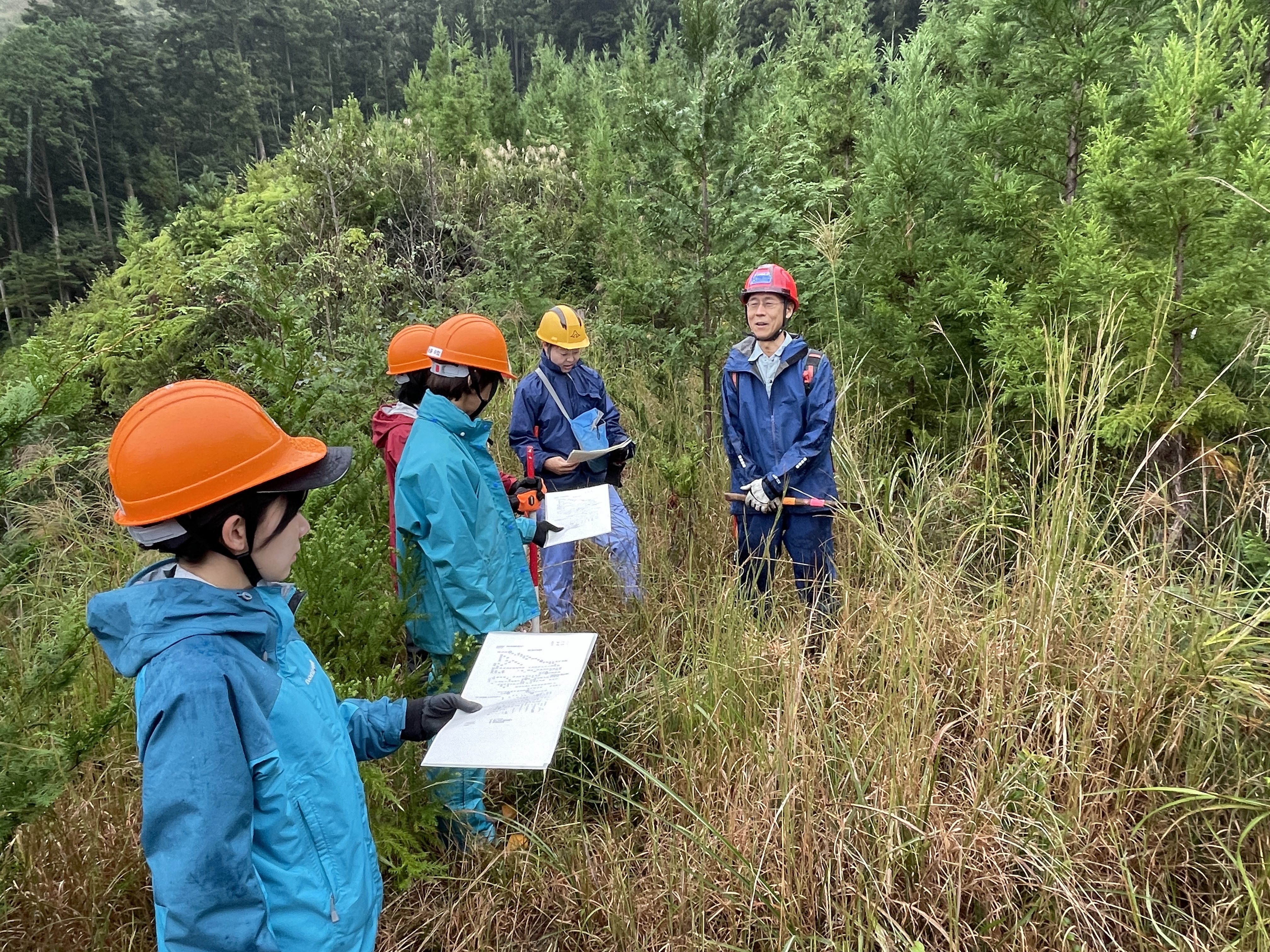 試験地の概要について説明
