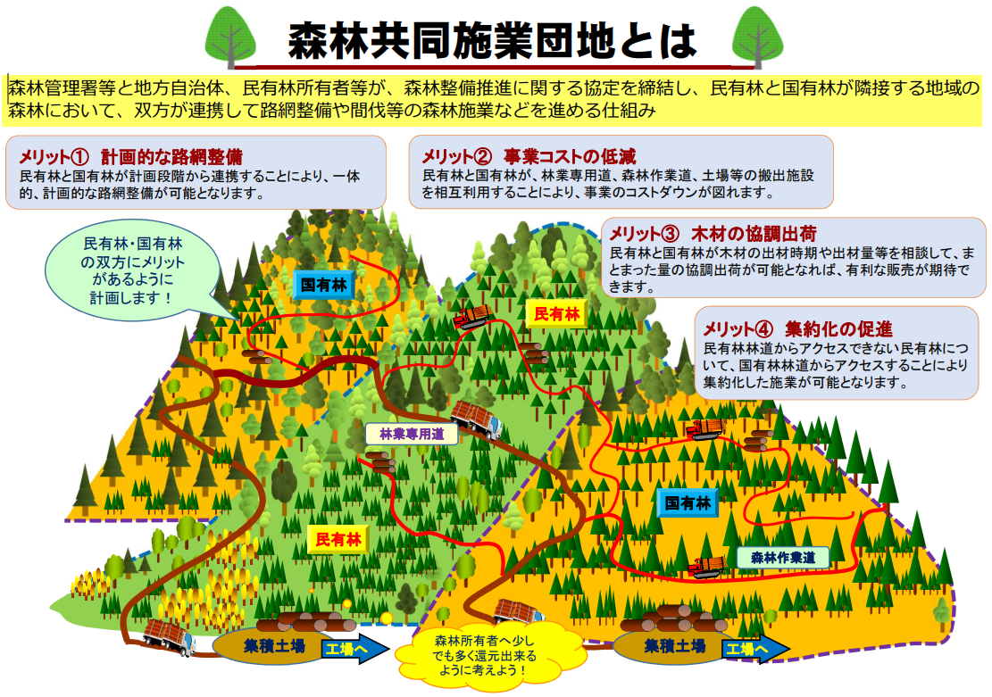 共同