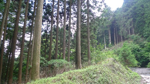 方針