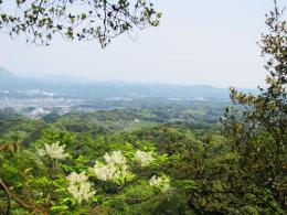 小笠山眺望